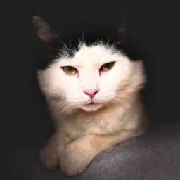 зВеРъСтВО~