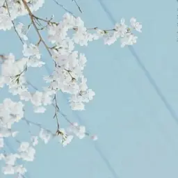 • Отзывы 🌸