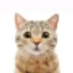 ^_^