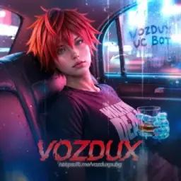 VOZDUX