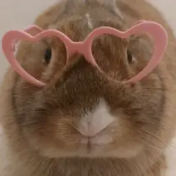 Блог Черри 🧡🍒