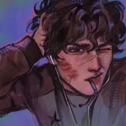 настик ‧₊˚