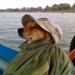 Любава Кус