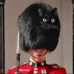 Лига ЕЕЕ