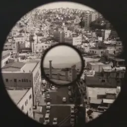 Intropology