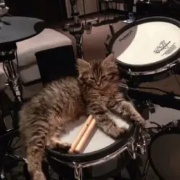 𝙼