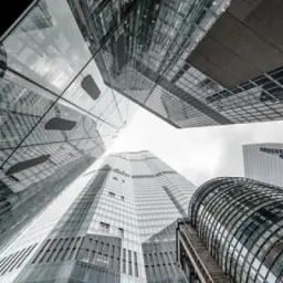 DomAnalytics