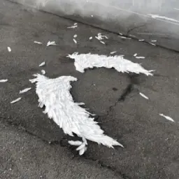 [selfsavespace]