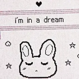 ㅤ 🐈‍⬛