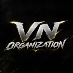 VN ORGANIZATION