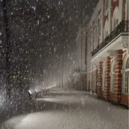Амина