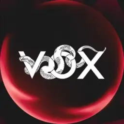 VOX PUBG