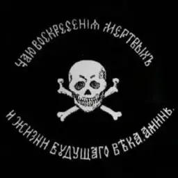 шышка