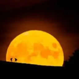 𝕒𝕕𝕞 ℙ𝕣𝕠𝕋𝕧