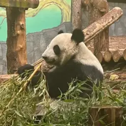 Это логично