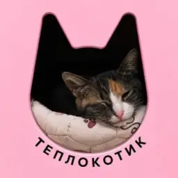 ТЕПЛОКОТИК