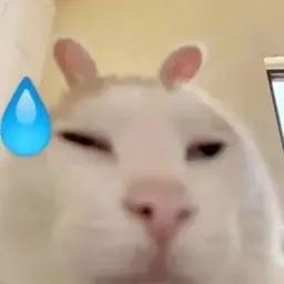 ЩП nemezida