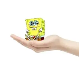 spongerr