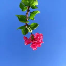 𝐂𝐫𝐞𝐚𝐭𝐢𝐯𝐢𝐭𝐲 𝐏𝐨𝐢𝐧𝐭