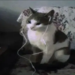 不安です