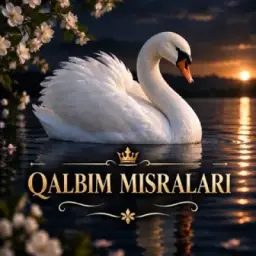ǫᴀʟʙɪᴍ ᴍɪsʀᴀʟᴀʀɪ...