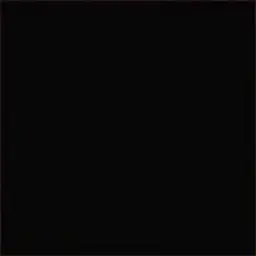 Даня Плешак