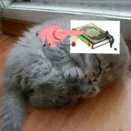 kobaimgmt