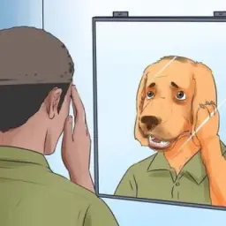 D. N.