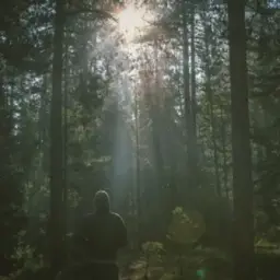Eugene