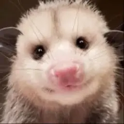 Cute Happy Chat