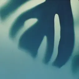 STOPBATH