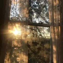 ABV