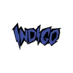 INDIGO STUFF