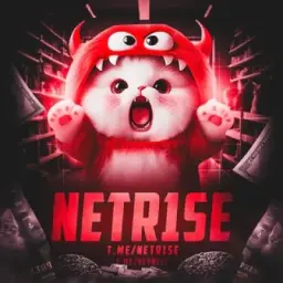 NETR1SE | DEV (Vanera)