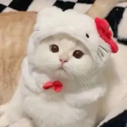 Анютик