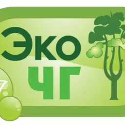 ЭкоЧГ