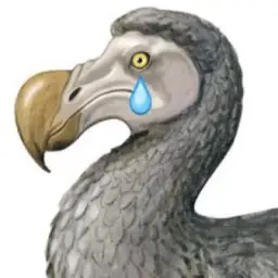 ЭкоЛеди