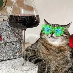 чат pb