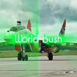 World bush