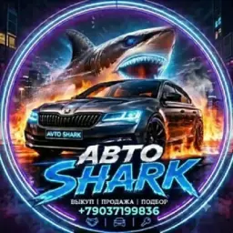 Авто Shark🦈