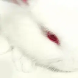 .mäet