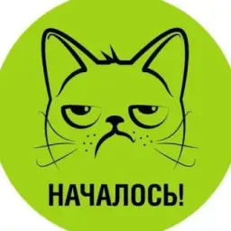 НАЧАЛОСЬ!