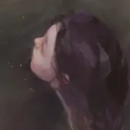 kathscapes
