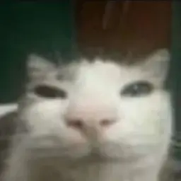 ︎