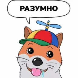 Лисач🦊🌴