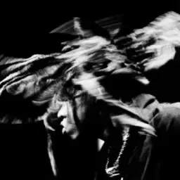 hawk loop archive