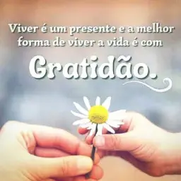 🙏🏻 𝗜𝗻𝗳𝗶𝗻𝗶𝘁𝗮 𝗚𝗿𝗮𝘁𝗶𝗱𝗮̃𝗼 🙏🏻