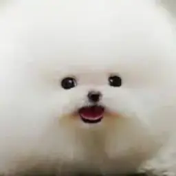 yuf!e