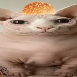 𝙎𝙩𝙖𝙏𝙞𝙘
