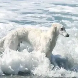 Ломочка 🛴⁶³